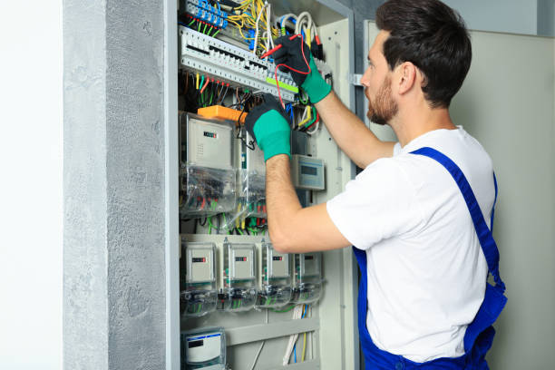 Best Electric Panel Repair  in Eagle Lake, WI